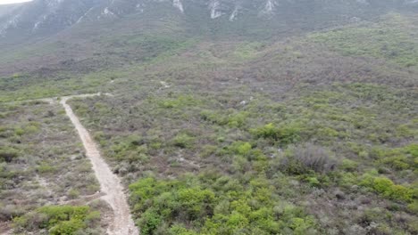 camino a la cima de una montaña en mexico