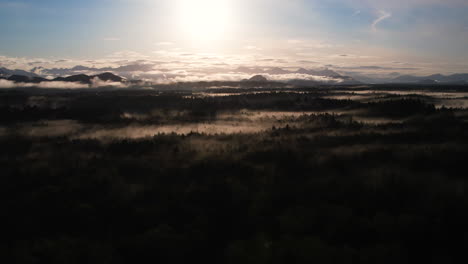 Aerial-trucking-shot-over-misty-temperate-rainforest-of-Tofino-at-sunrise,-BC