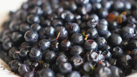 black fruits forest wild berries blueberries wildberries turning round around