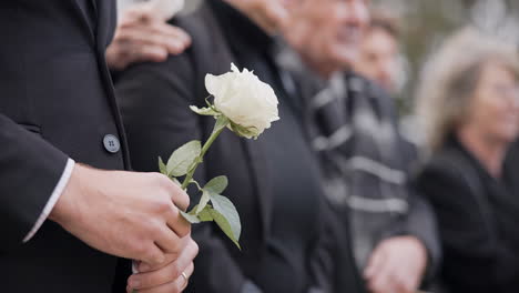 hands, rose and a person at a funeral