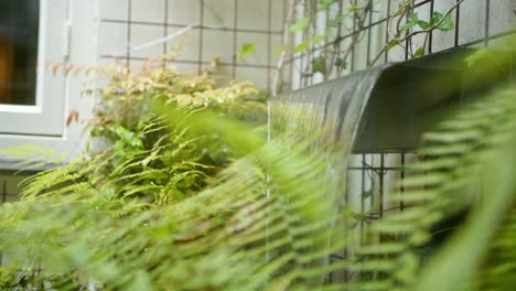 Fuente-Ornamental-Con-Exuberantes-Helechos-Verdes-Fuera-De-Los-Paisajes-Del-Jardín