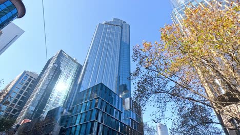 tall buildings and trees under clear sky