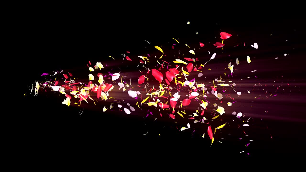 화려한 잎자루, 나선형 반이는 꽃잎, 꽃 모양, 예쁜 춤추는 꽃잎, 회전하는 꽃잎에서 소용돌이, 추상적인 루프 애니메이션.