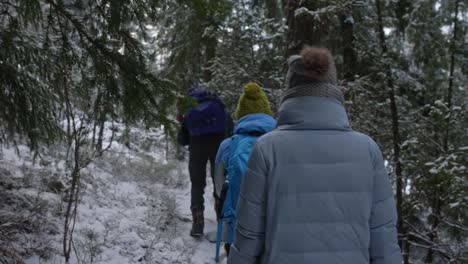 hikers walking in a winter forest with pine trees and dog in warm woolen hats