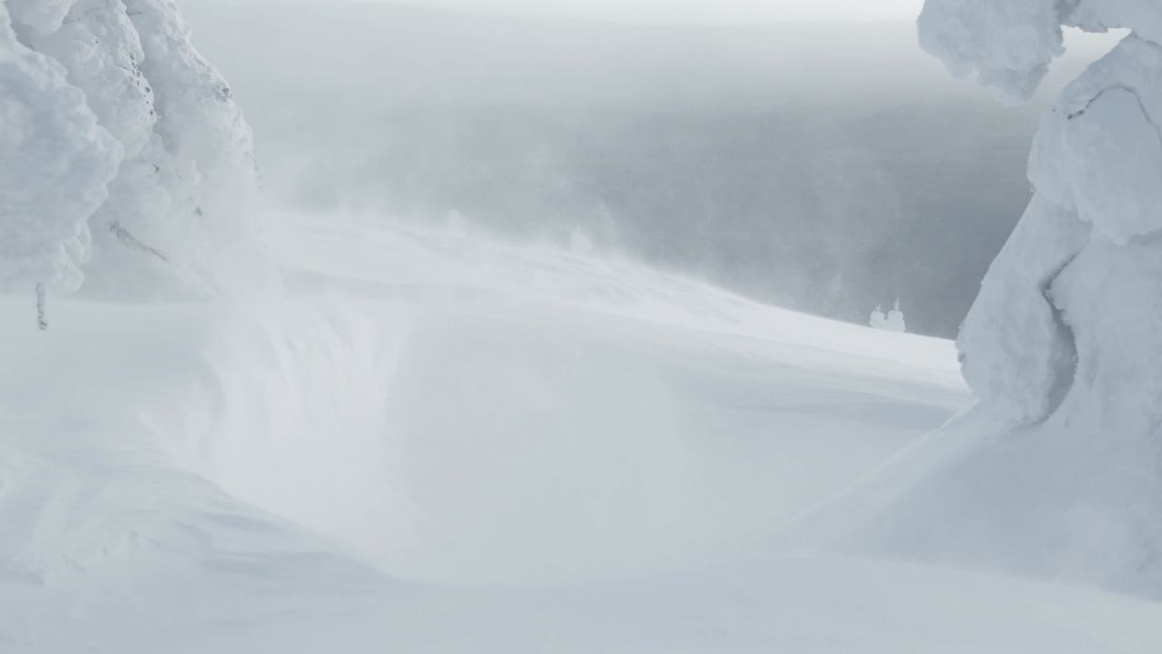Blizzard and swirls of snow on snowdrifts