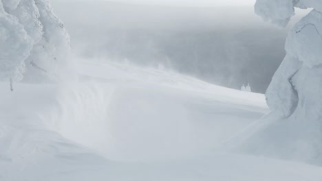 blizzard and swirls of snow on snowdrifts