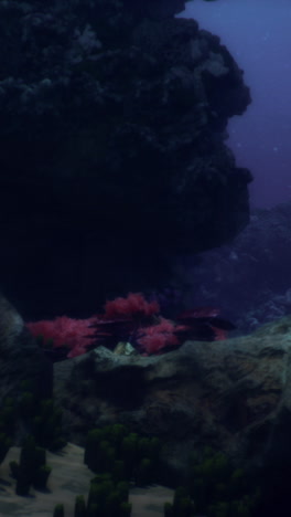 underwater coral reef scene