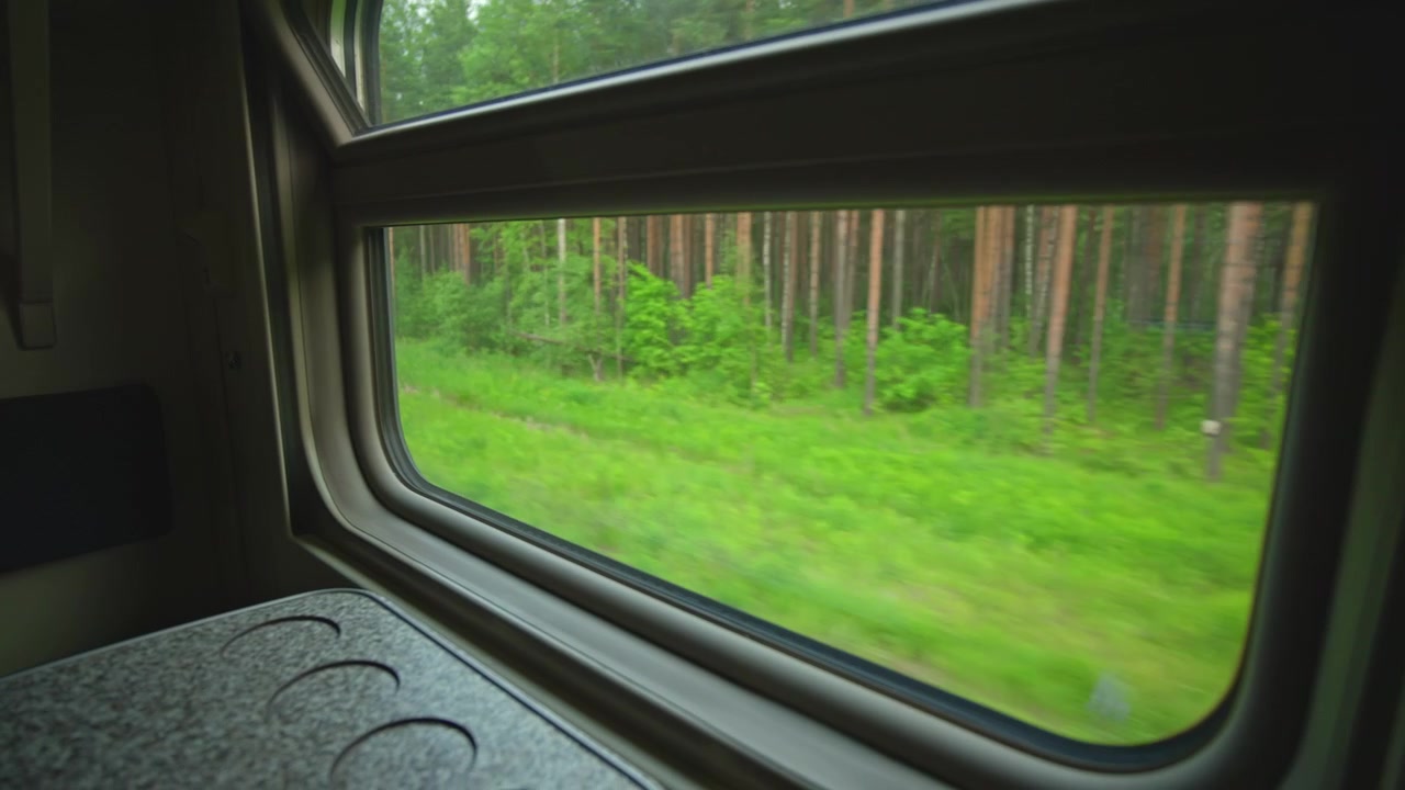 Viaggio panoramico in treno attraverso una foresta verde lussureggiante.