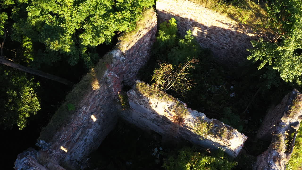 edificio de piedra iluminado por el sol y cubierto de follaje, vista aérea