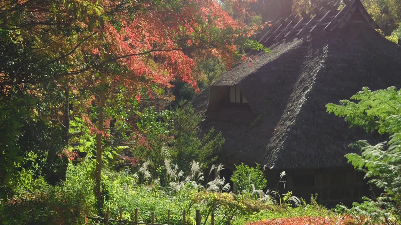 아름다운 숨겨진  지붕 마을 일본 시골에서 가을 색상