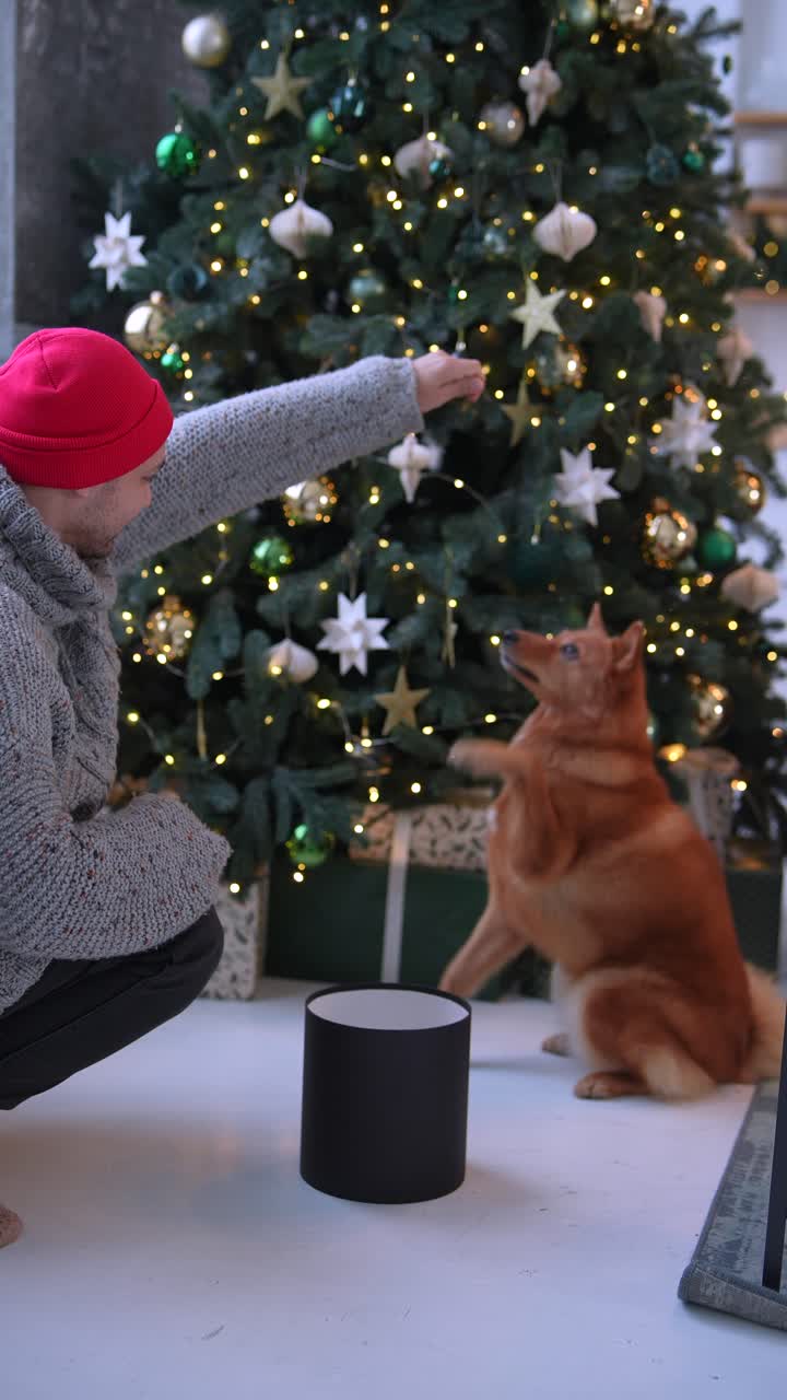 hombre y perro disfrutando de la navidad