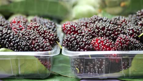 fresh mulberries in plastic containers