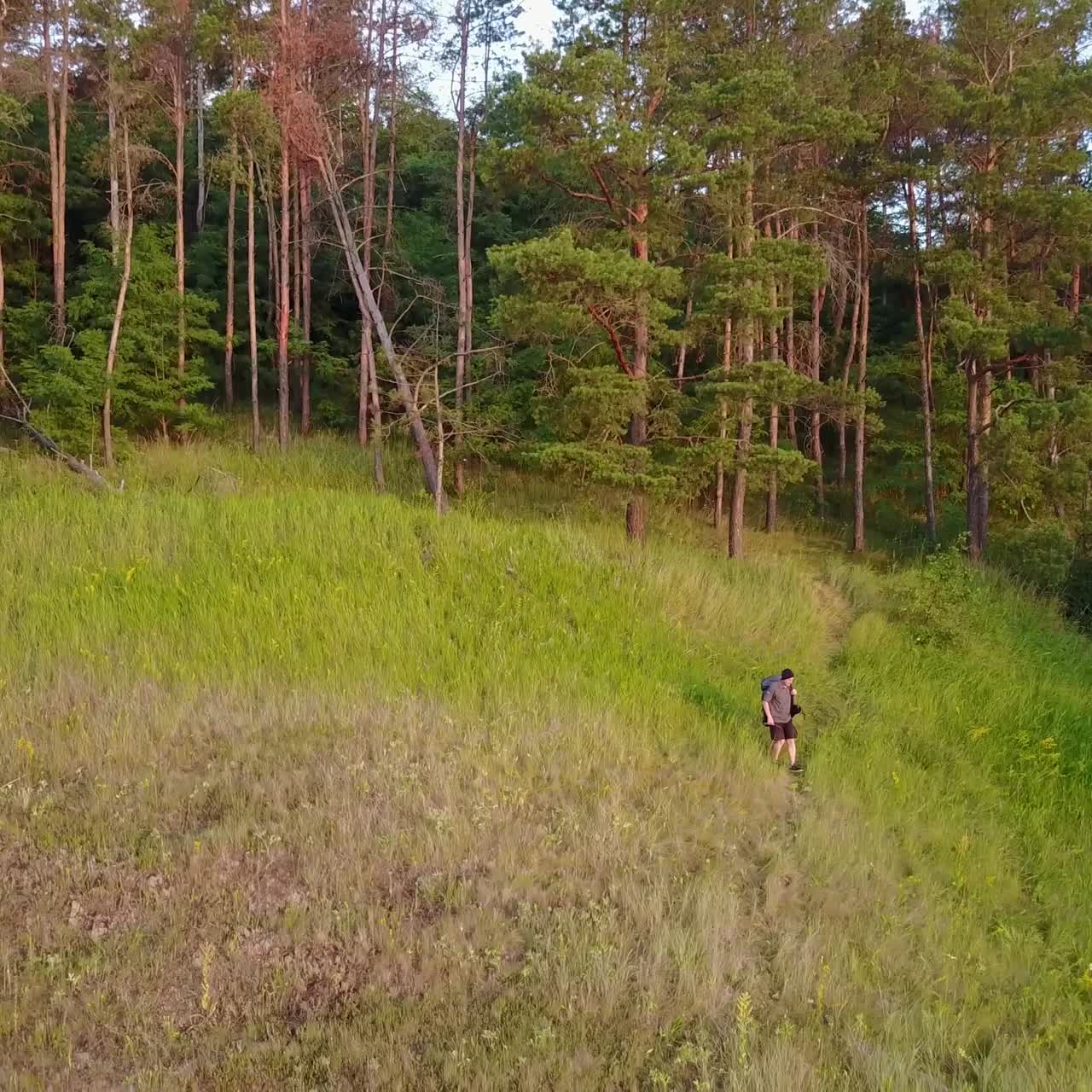 Traveler Man With Backpack