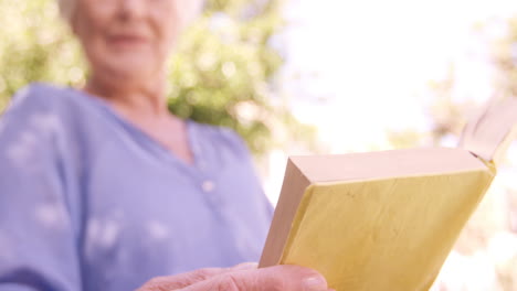 senior woman reading a book