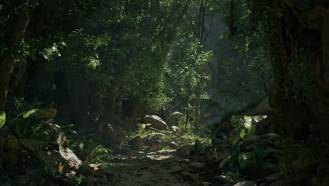 sunlight filtering through a dense, lush rainforest