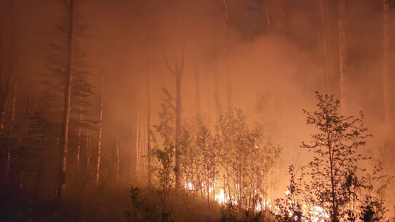 Fiamme divampanti e una nuvola di fumo grigio che si alzano da un incendio boschivo che brucia alberi in una foresta, in Alberta, Canada, di notte.