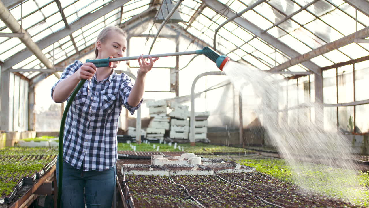 agricultora regando plantas en agricultura de invernadero 6