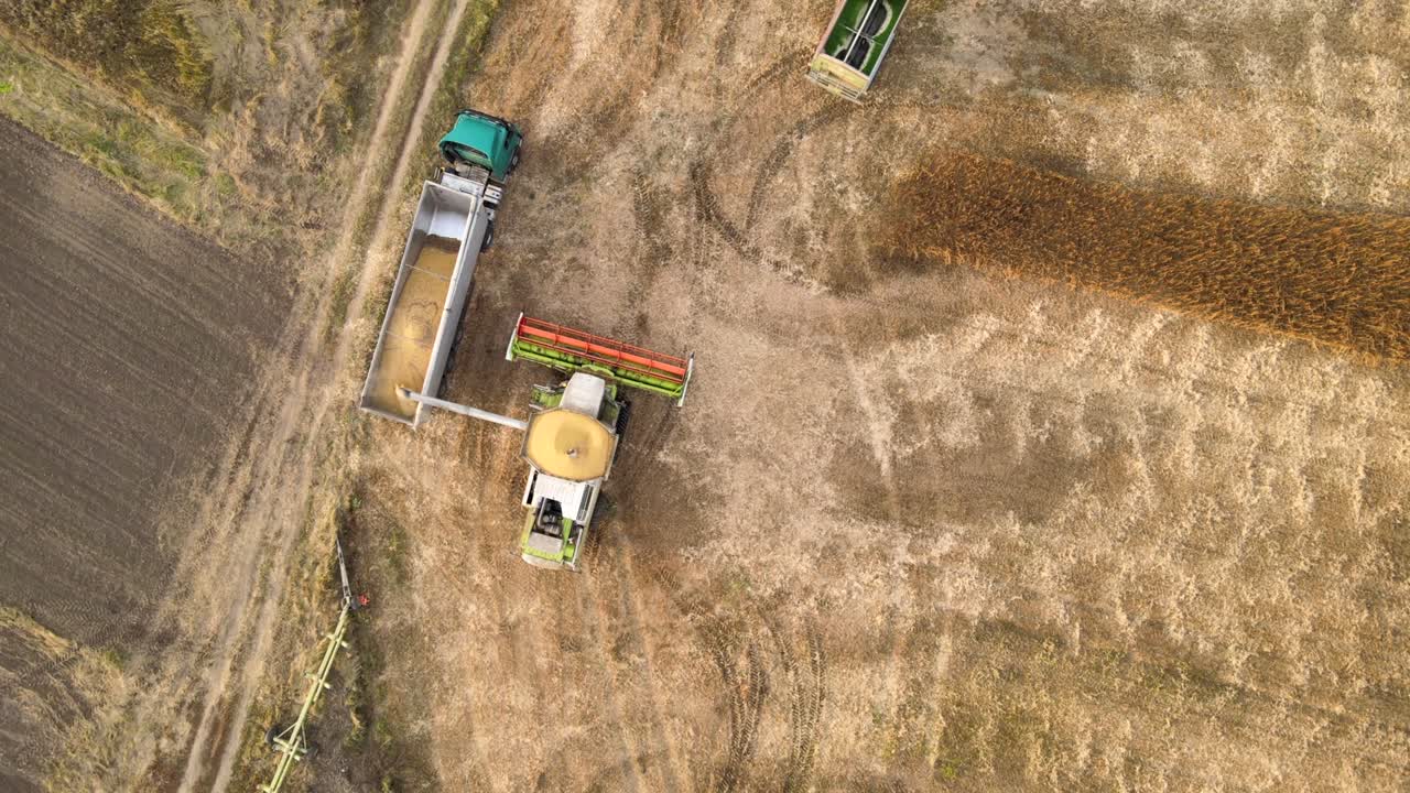 Aerial view of combine harvester unloading grain in cargo trailer working during harvesting season on large ripe wheat field. Agriculture and transportation of raw farm products concept