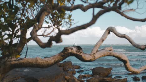 a medium sized boat floats just shy of a shore made of rocks, behind a small, twisty bush that sits under a sunny, warm sky featuring fluffy white clouds