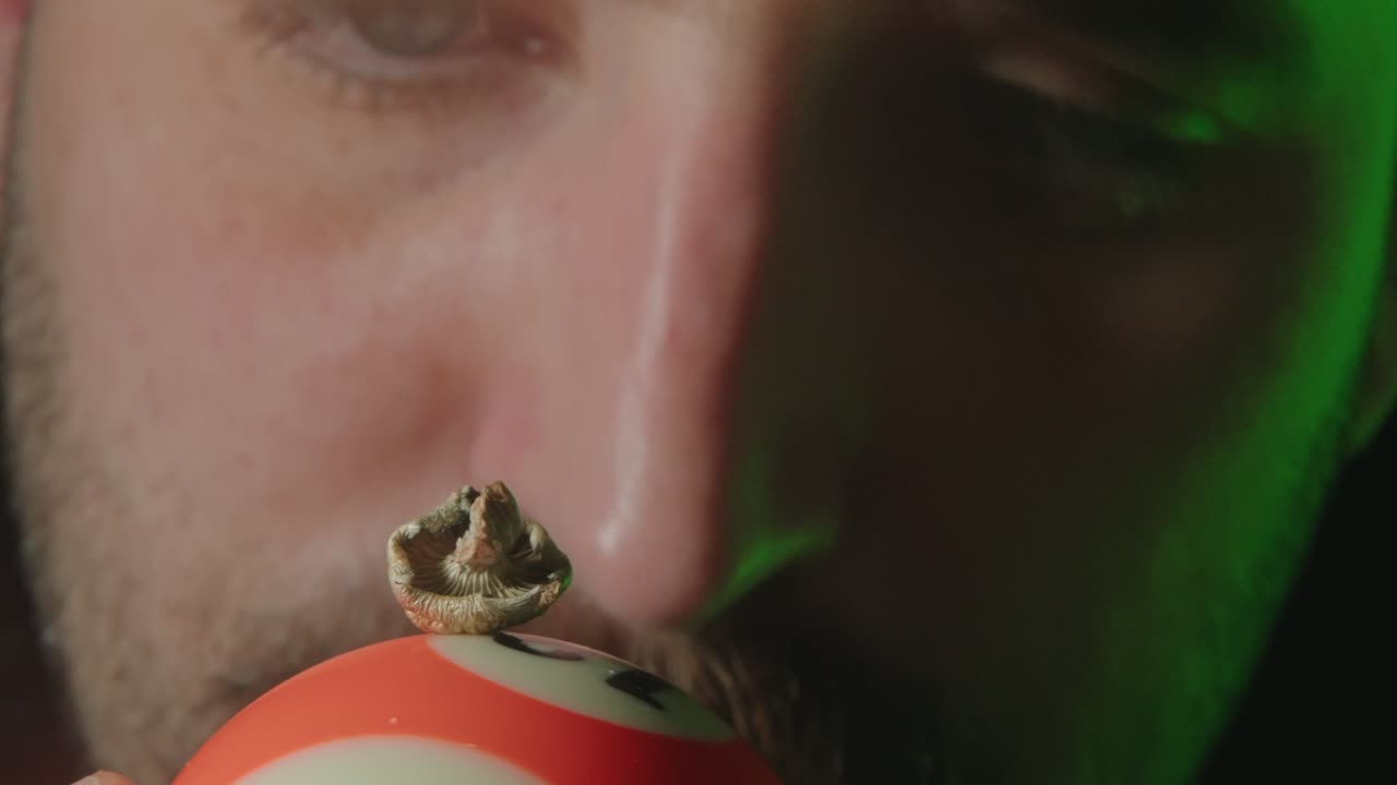 un individuo está examinando cuidadosamente el hongo psilocibina colocado encima de la pelota de billar