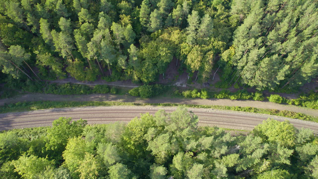 vías de tren vacías a través de árboles verdes del bosque a la luz del sol en witomino, gdynia, polonia