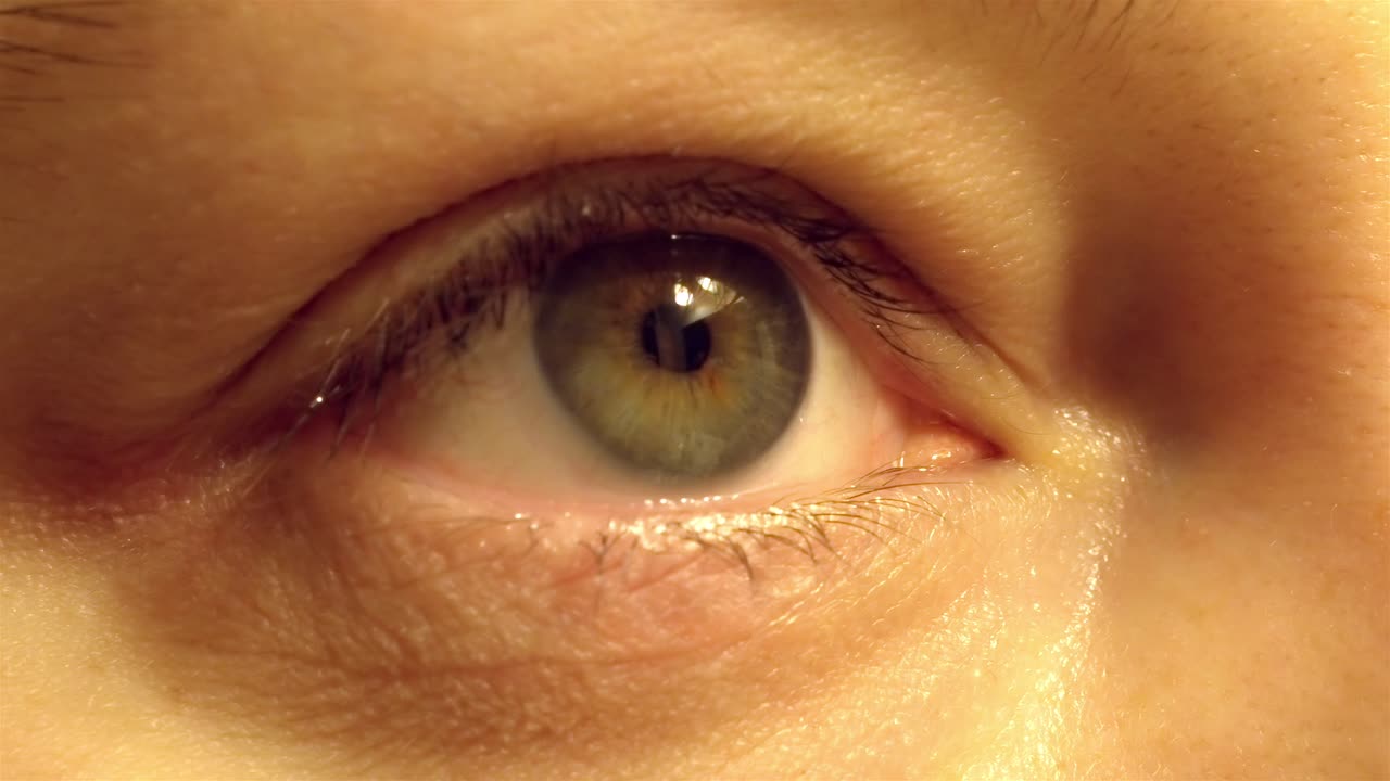 Extreme Close-Up Hazel Eye with Contact Lens – 4K Macro