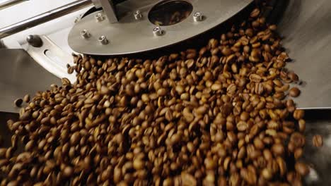 los granos de café siendo procesados en una máquina