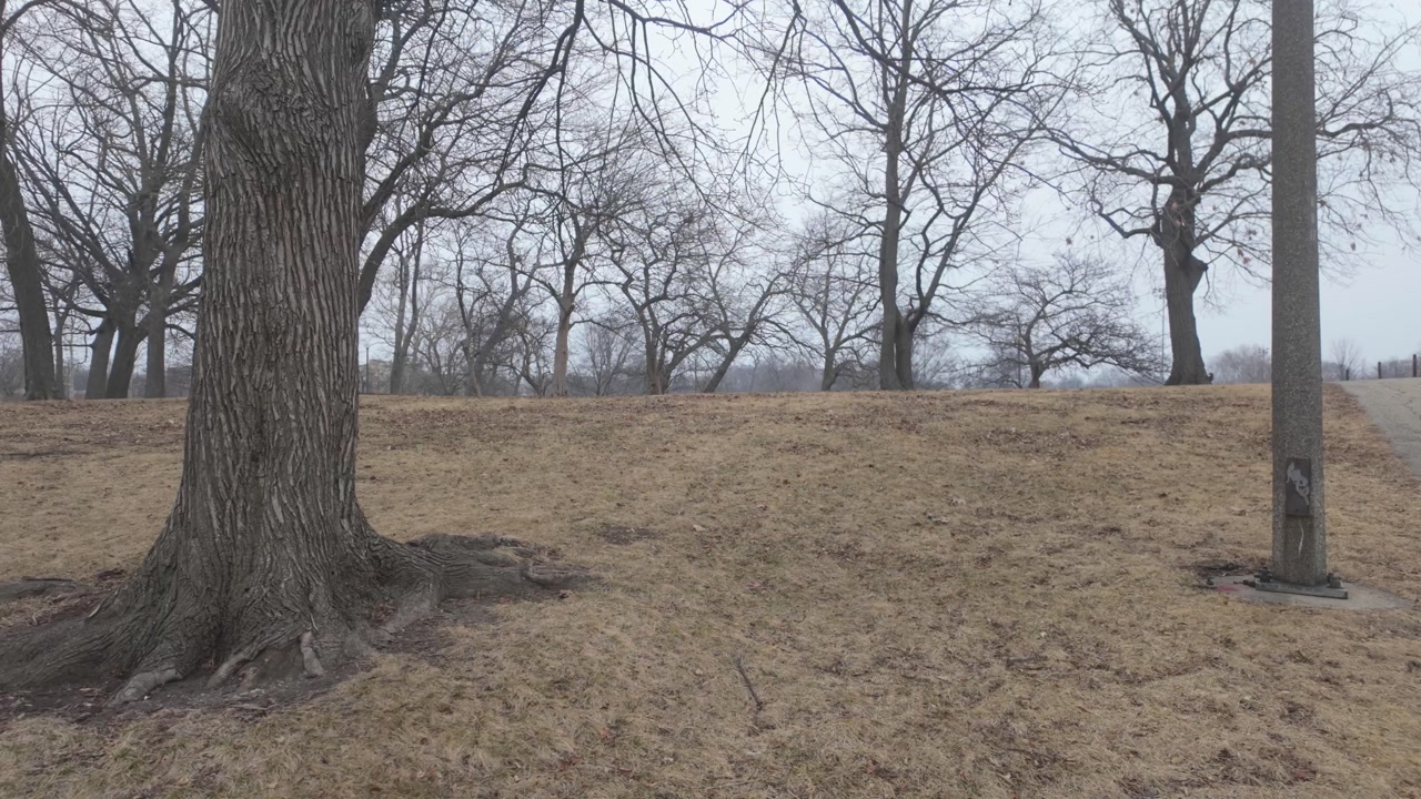 Humboldt Park in Chicago's Trees and fields in winter time.