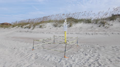 Revealing-shot-of-a-sea-turtle-nest,-roped-off-to-protect-the-eggs