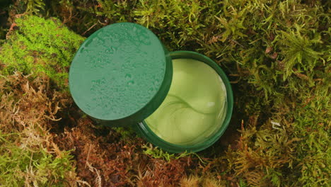 bottle of cosmetics cream serum on moss forest background green leaves. woman make up healthy natural products.