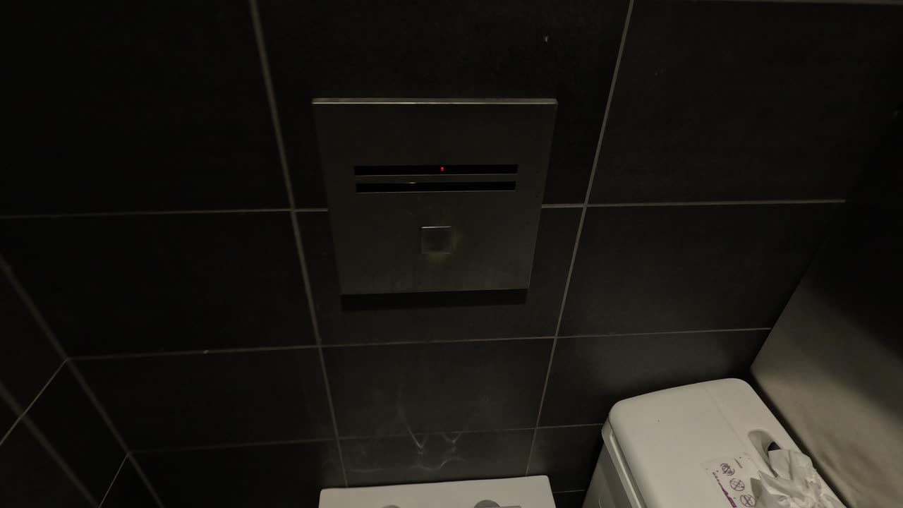 un inodoro siendo descargado en un baño de parís