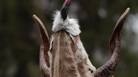 Bulgarischer-Kuker-Wolf-Gleich-Mit-Hörnermaske-Und-Blutigen-Augen