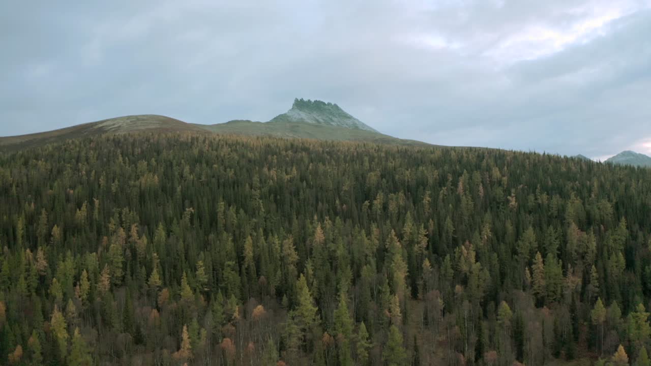paisaje forestal montañoso