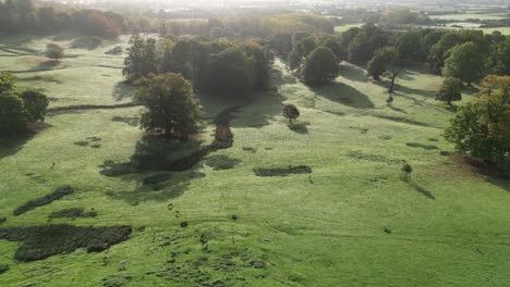 rising drone shot of a deer park in autumn