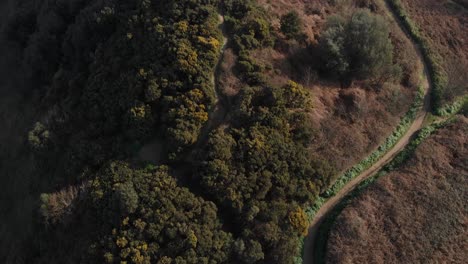 hermoso paisaje clip de drones sobre los acantilados de cromer y la playa en inglaterra