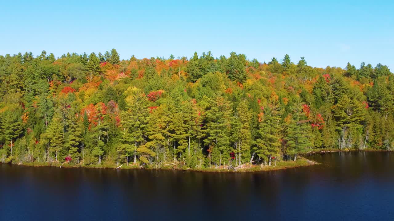 aéreo volando hacia el follaje de otoño que se acerca al lado del lago, cerca de montreal, canadá