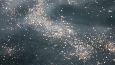Ocean Pollution with Debris