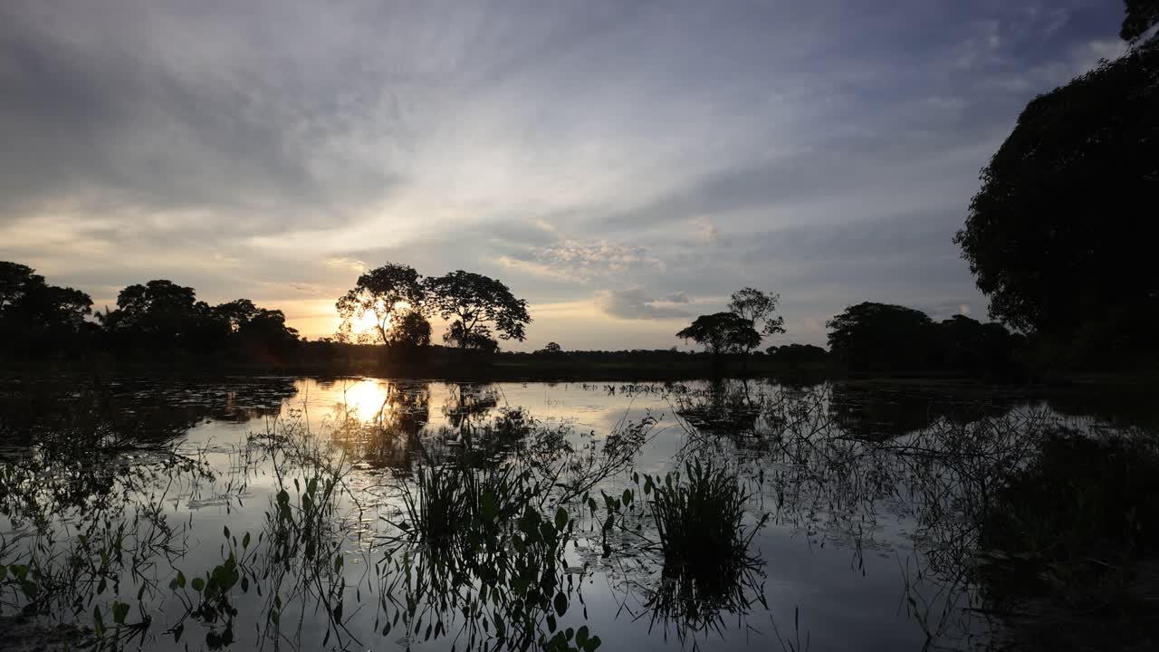 Sunset view of a lagoon in the Southern Pantanal, reflection, aquatic plants, sunset