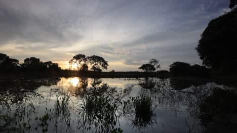 sunset view of a lagoon in the southern pantanal, reflection, aquatic plants, sunset