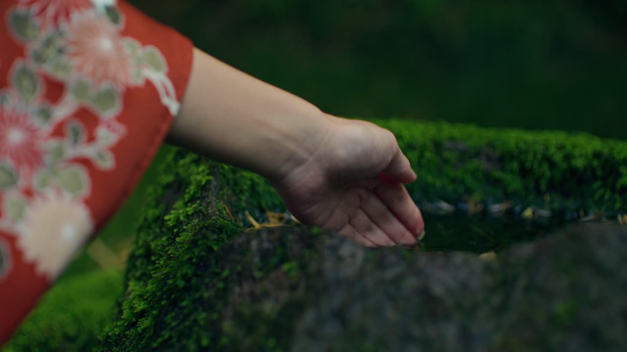 Water Feature in a Japanese Garden