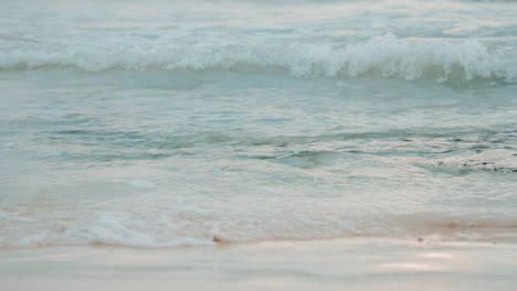 Low-angle-shot-of-waves-pouring-into-the-shore