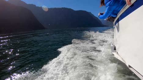 delfines saltando en la estela del barco mientras navega por milford sound en nueva zelanda