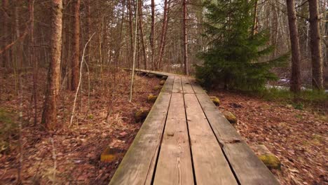 área boscosa densa y profunda con camino recreativo, plataforma rodante hacia adelante