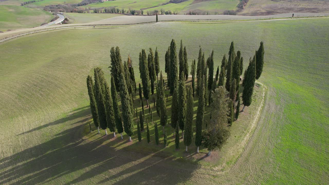토스카니의 산키리코 드 오르시아 근처에 있는 사이프러스 나무 그룹. 이탈리아의 드 오르시아에 있는 사이퍼스 나무의 원형 공중 사진