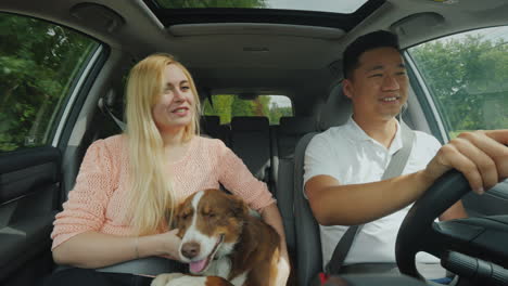 Young-Multiethnic-Couple-Travels-In-A-Car-With-A-Dog-Asian-Man-And-Caucasian-Woman