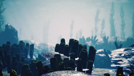 Underwater landscape featuring coral formations and marine plants