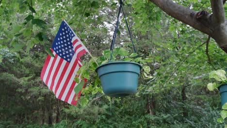 american flag in a devil ivy outside plant swinging on from a tree