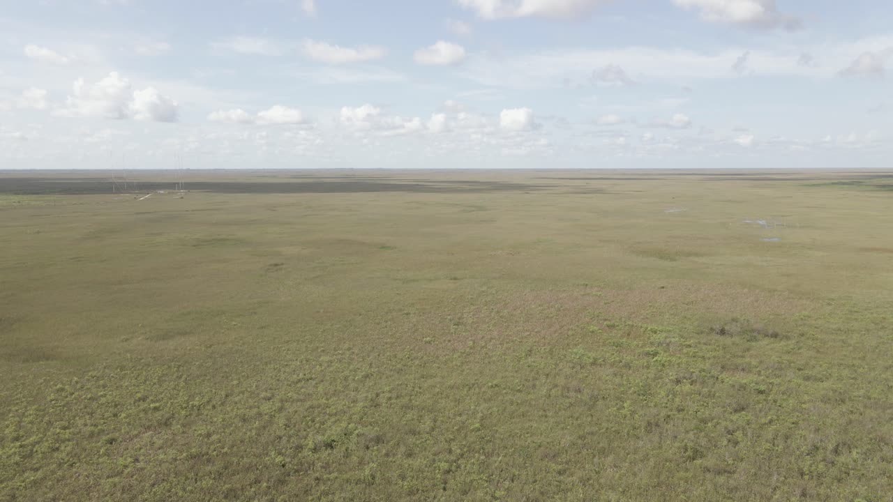 Low aerial flight over endless expanse of everglades swampy grassland