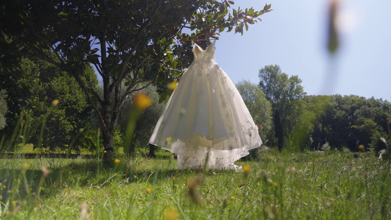 Beautiful White Wedding Dress Hanging on a Tree in a Sunny Garden