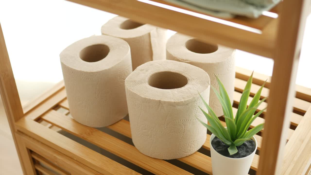 Toilet paper rolls and a plant on a wooden shelf